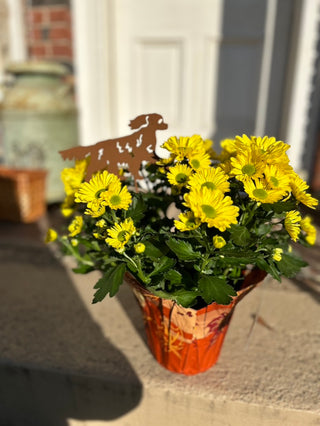 Pet Loss gift