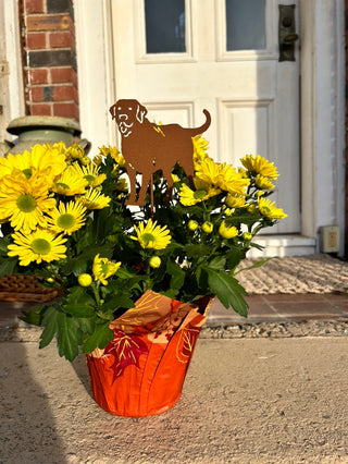 Decorative Plant Stake
