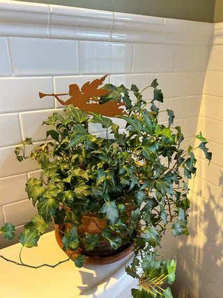 Rustica Ornamentals