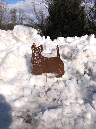 Scottish terrier art