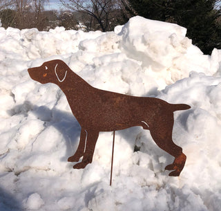 German Short Haired Pointer