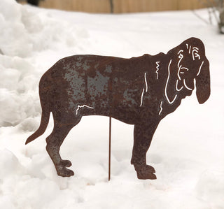 Bloodhound
