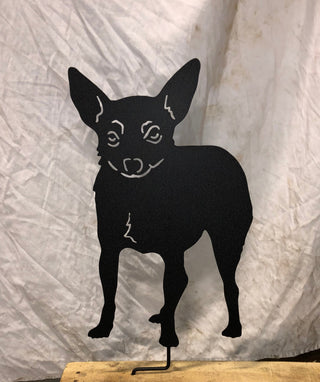 Toy Fox Terrier