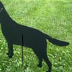 dog memorial