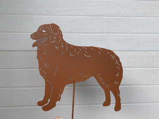 Australian Shepherd Garden Stake