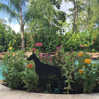 Estaca de jardín o adorno de pared de Doberman Pinscher (estilo 1)