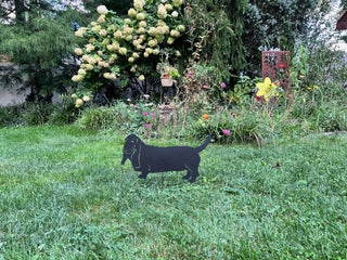 Pet memorial