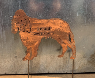 Springer spaniel gift idea