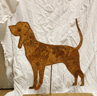 rusty dog