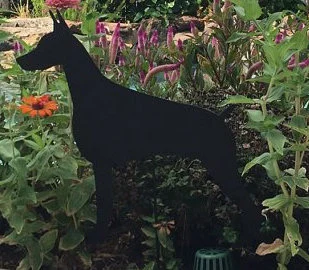 doberman sign