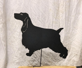 English Cocker Spaniel