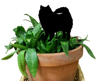 American Eskimo Plant Stake