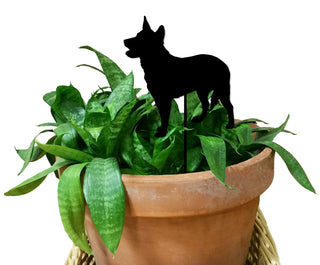 Australian Cattle Dog Plant Stake