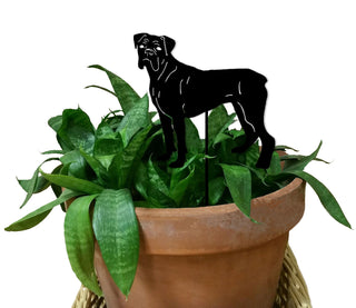 Boxer Plant Stake