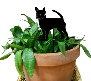 Chihuahua Plant Stake (Short Hair)