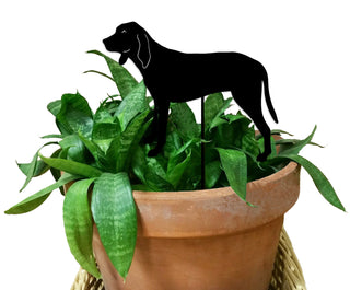 Coonhound Plant Stake