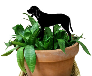 Estaca para planta de perro de caza