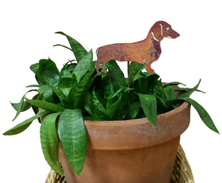 Dachshund memorial