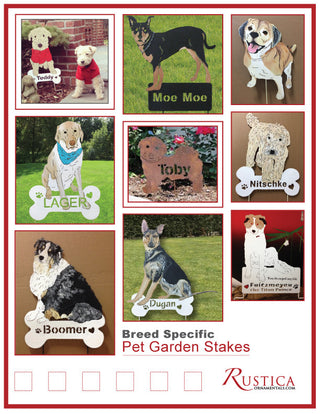 Pet portraits