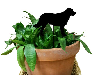 Estaca para planta de perro retriever de pelo liso
