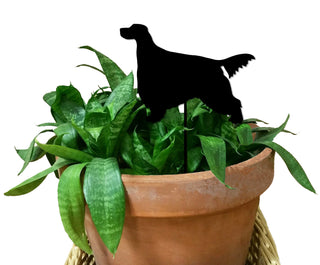 Estaca de planta Gordon Setter