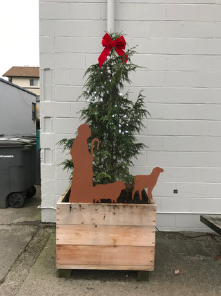 outdoor nativity