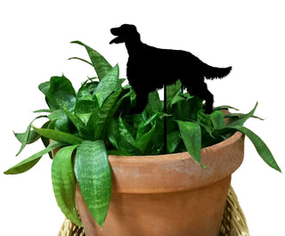 Estaca para planta de setter irlandés