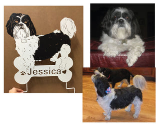 Pet Portraits