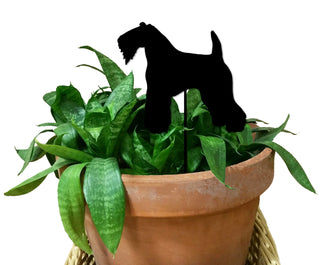 Estaca para planta de Kerry Blue Terrier