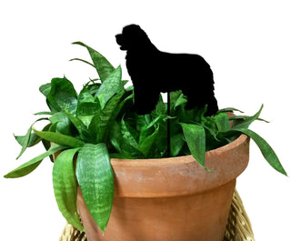 Estaca de planta de Terranova
