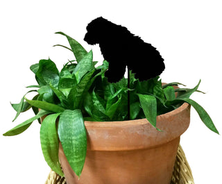 sheepdog plant stake