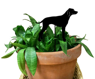 Pointer Plant Stake