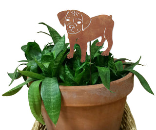 rust puggle plant stake