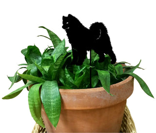 Tuteur pour plante Samoyède