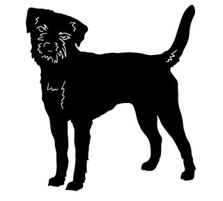 Border Terrier Wall Hanging