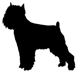 Brussels Griffon Wall Hanging