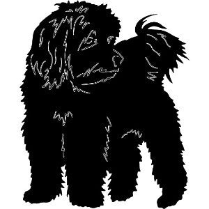 Coton De Tulear Wall Hanging