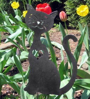 Cat Heart