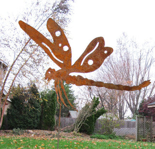 Rusty Dragonfly
