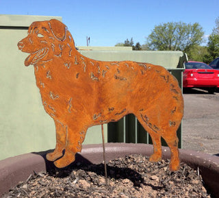 Australian Shepherd Garden Stake