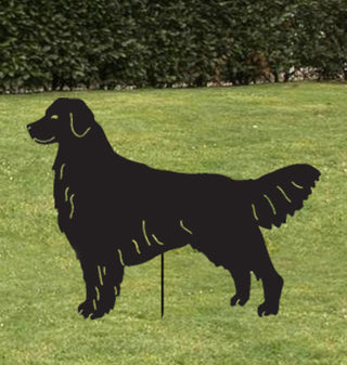 Dog Wall Art