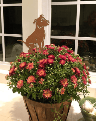 Rustica Ornamentals