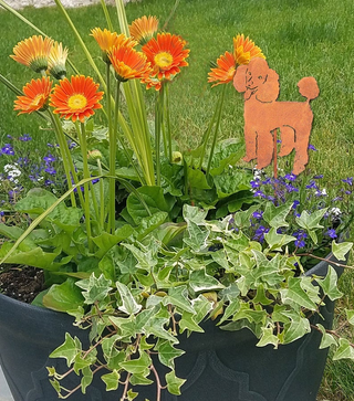 decorative plant stakes