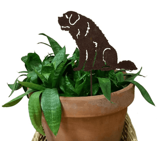 St. Bernard Plant Stake