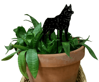 Tuteur pour plante Husky de Sibérie