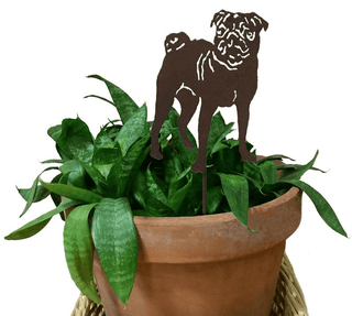 Estaca para planta de Pug