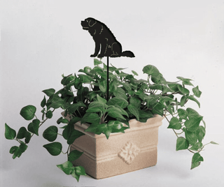 Rustica Ornamentals
