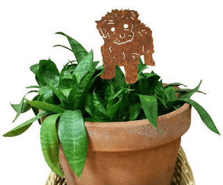 Tea Cup Poodle Plant Stake