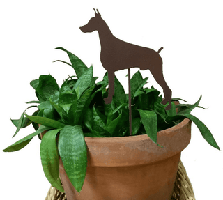 Doberman Pinscher (style 1) Plant Stake