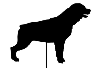 Rottweiler garden stake